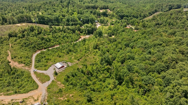 3402 Roundtop Rd, Strunk, KY 42649 - aerial view of a heavily wooded area