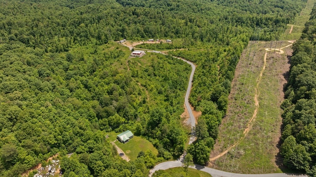 3402 Roundtop Rd, Strunk, KY 42649 - aerial overview of property's location with a heavily wooded area
