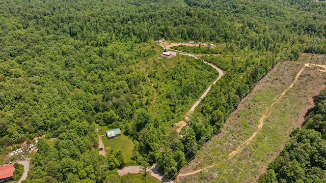 3402 Roundtop Rd, Strunk, KY 42649 - drone / aerial view of a forest