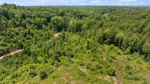 3402 Roundtop Rd, Strunk, KY 42649 - drone / aerial view of a forest