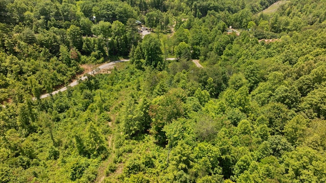 3402 Roundtop Rd, Strunk, KY 42649 - aerial view of a heavily wooded area