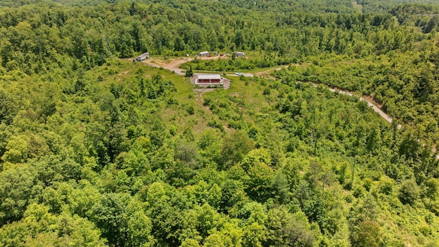 3402 Roundtop Rd, Strunk, KY 42649 - aerial view of a forest