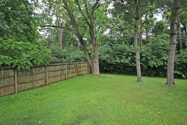 325 Dantzler Ct, Lexington, KY 40503 - view of yard
