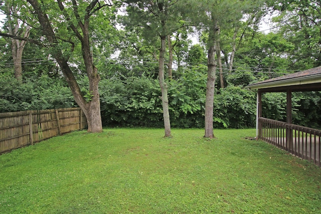 325 Dantzler Ct, Lexington, KY 40503 - view of yard