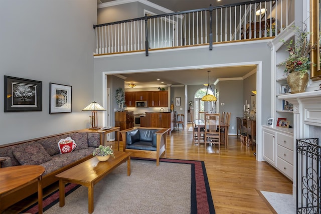 3519 Doral Pl, Lexington, KY 40509 - living area with a high ceiling, ornamental molding, light wood finished floors, and baseboards