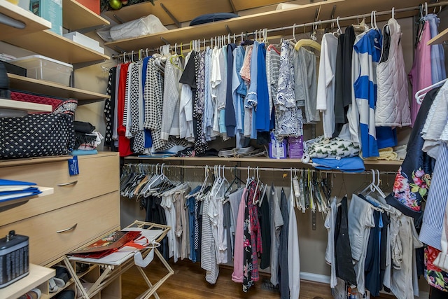 3519 Doral Pl, Lexington, KY 40509 - walk in closet featuring wood finished floors