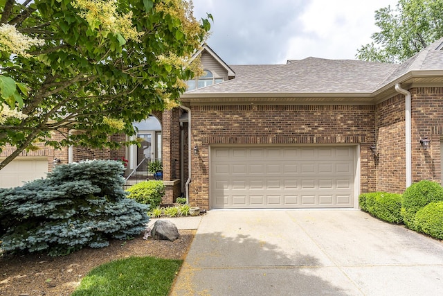 3519 Doral Pl, Lexington, KY 40509 - view of front of house with roof with shingles, driveway, brick siding, and an attached garage