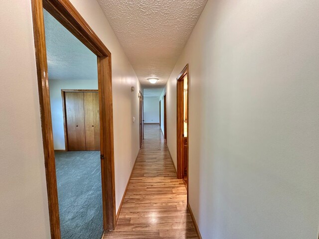 7532 Maysville Rd, Carlisle, KY 40311 - corridor with a textured ceiling, light wood-style flooring, and baseboards