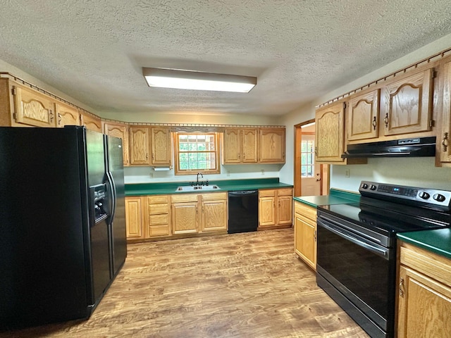 7532 Maysville Rd, Carlisle, KY 40311 - kitchen featuring black appliances, under cabinet range hood, a sink, light wood-type flooring, and a textured ceiling