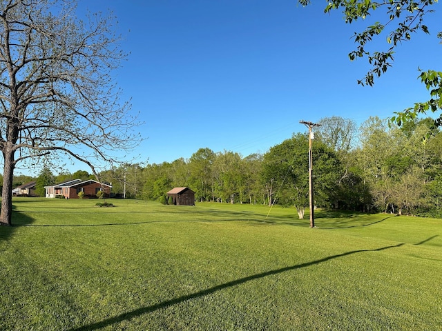 7532 Maysville Rd, Carlisle, KY 40311 - view of green lawn with view of wooded area