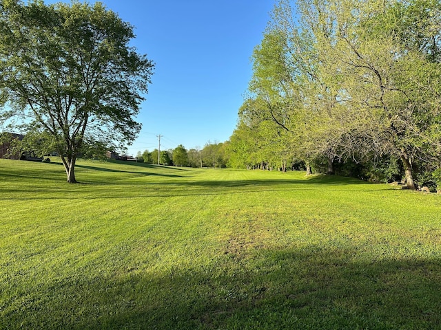 7532 Maysville Rd, Carlisle, KY 40311 - view of grassy yard