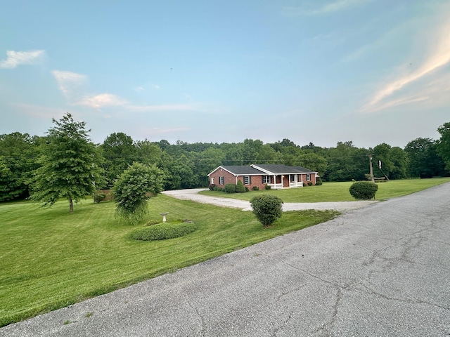 7532 Maysville Rd, Carlisle, KY 40311 - ranch-style home with dirt driveway, a front yard, and a wooded view