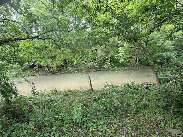 7532 Maysville Rd, Carlisle, KY 40311 - water view featuring a heavily wooded area