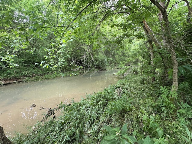 7532 Maysville Rd, Carlisle, KY 40311 - view of wooded area