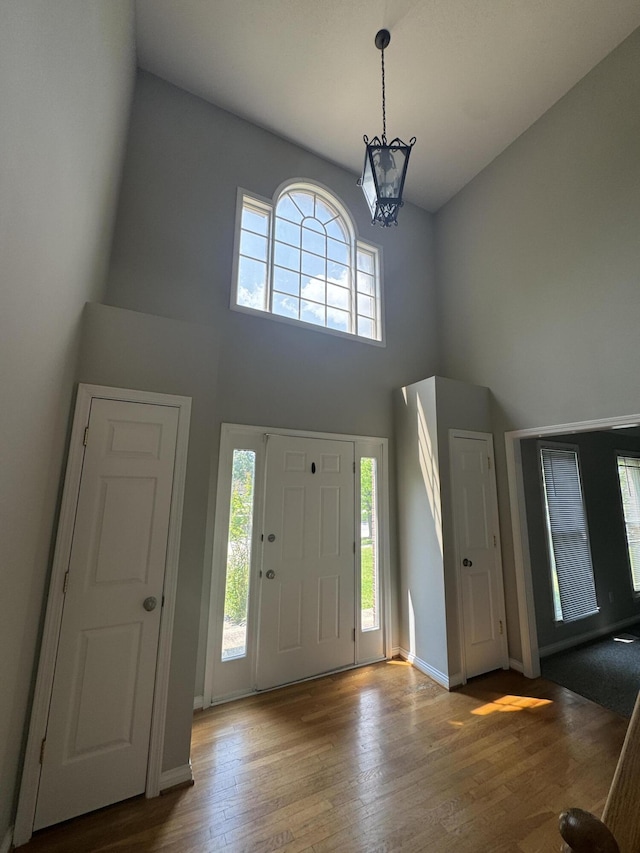 3017 Polo Club Blvd, Lexington, KY 40509 - entryway with a high ceiling, hardwood / wood-style flooring, a chandelier, and baseboards