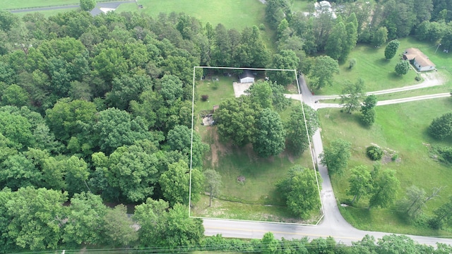 1540 Stoney Fork Rd, Corbin, KY 40701 - aerial view of property and surrounding area featuring property boundaries highlighted