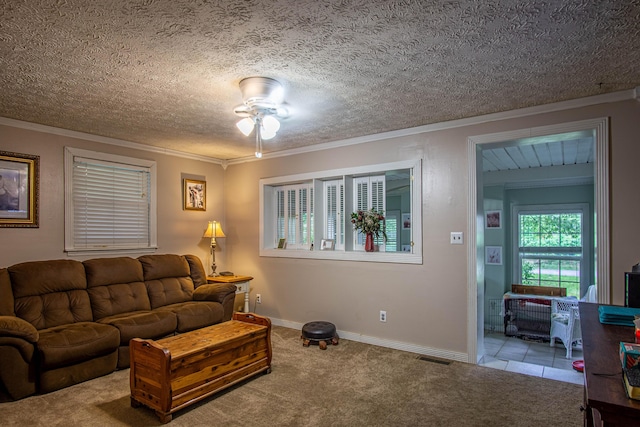 1540 Stoney Fork Rd, Corbin, KY 40701 - living room with ceiling fan, ornamental molding, carpet, a textured ceiling, and baseboards
