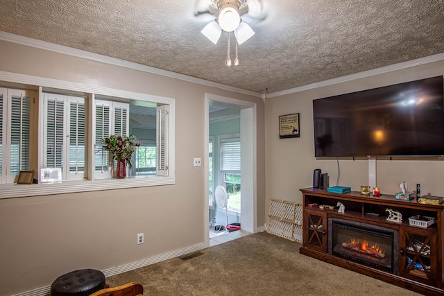 1540 Stoney Fork Rd, Corbin, KY 40701 - carpeted living area with ceiling fan, ornamental molding, a textured ceiling, and baseboards