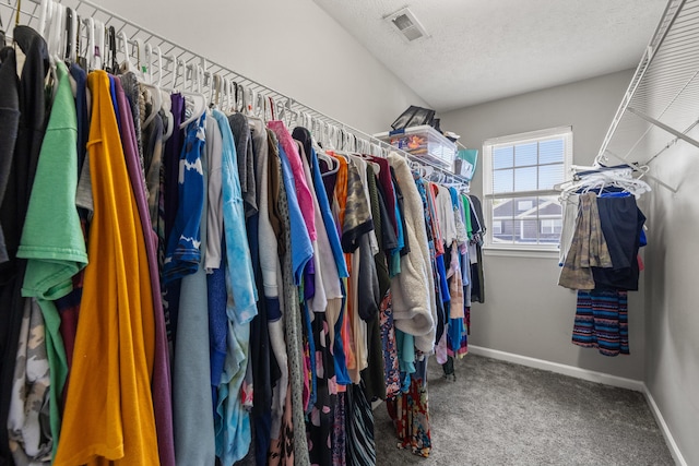 962 Cobble Dr, Richmond, KY 40475 - spacious closet with carpet flooring