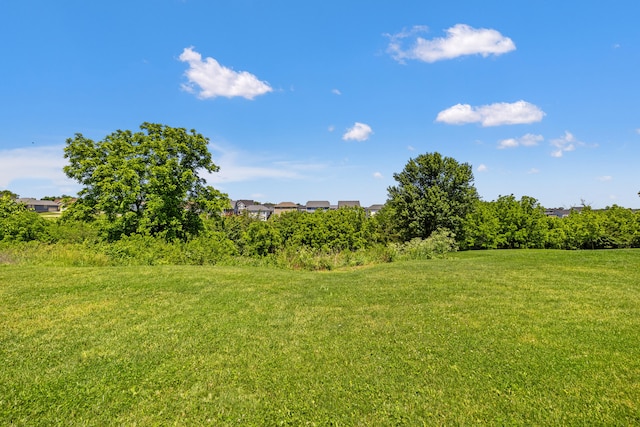 962 Cobble Dr, Richmond, KY 40475 - view of green lawn