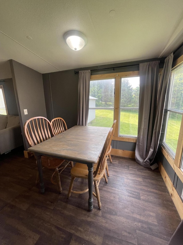 58 William Ct, Nancy, KY 42544 - dining area with wood finished floors