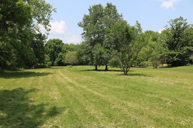 164 Oxbow Rd, Carlisle, KY 40311 - view of green lawn featuring a view of trees