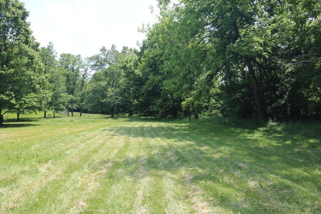 164 Oxbow Rd, Carlisle, KY 40311 - view of grassy yard with a wooded view
