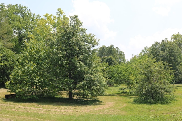 164 Oxbow Rd, Carlisle, KY 40311 - view of local wilderness