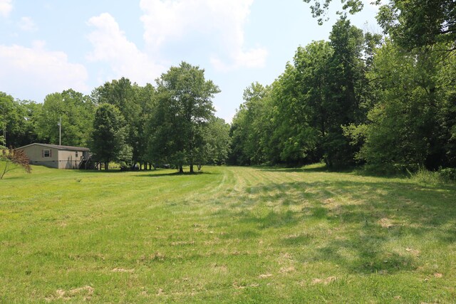 164 Oxbow Rd, Carlisle, KY 40311 - view of grassy yard with a forest view