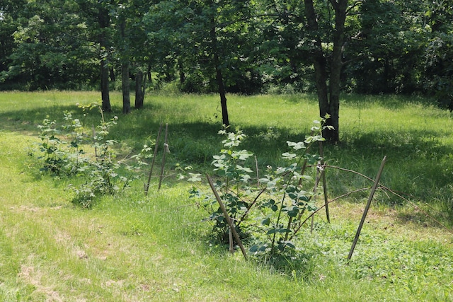 164 Oxbow Rd, Carlisle, KY 40311 - view of undeveloped land