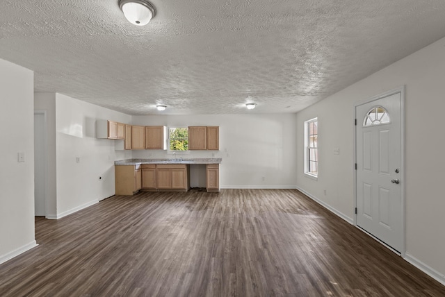 330 Corral St, Lexington, KY 40508 - kitchen featuring dark wood-type flooring, healthy amount of natural light, light countertops, and a textured ceiling