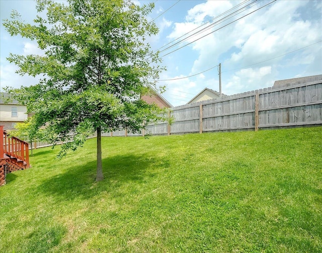 105 Geneva Ct, Nicholasville, KY 40356 - view of yard