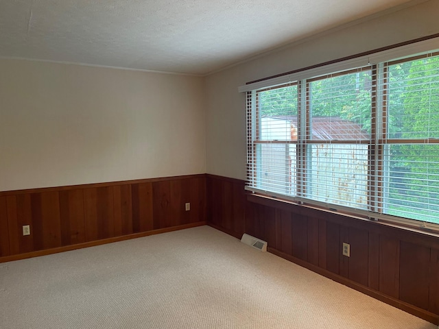 411 Ohara Dr, Danville, KY 40422 - carpeted spare room featuring a wainscoted wall, a textured ceiling, and wooden walls