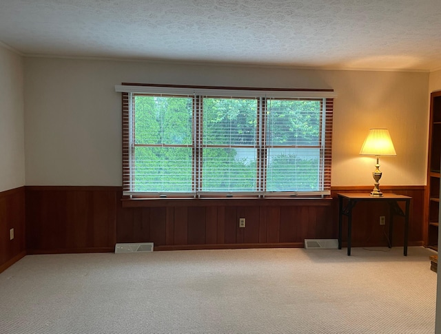 411 Ohara Dr, Danville, KY 40422 - unfurnished room with carpet flooring, crown molding, a textured ceiling, a wainscoted wall, and wooden walls
