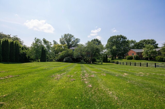 202 Thoroughbred Ln, Nicholasville, KY 40356 - view of yard