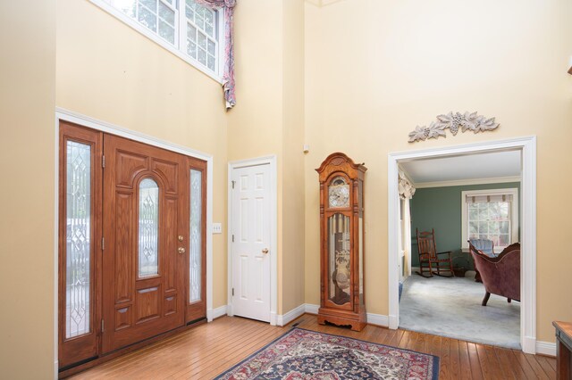 202 Thoroughbred Ln, Nicholasville, KY 40356 - foyer featuring wood-type flooring, a towering ceiling, baseboards, and ornamental molding