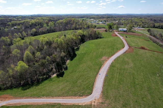 31 Beech Grove Rd, Jabez, KY 42544