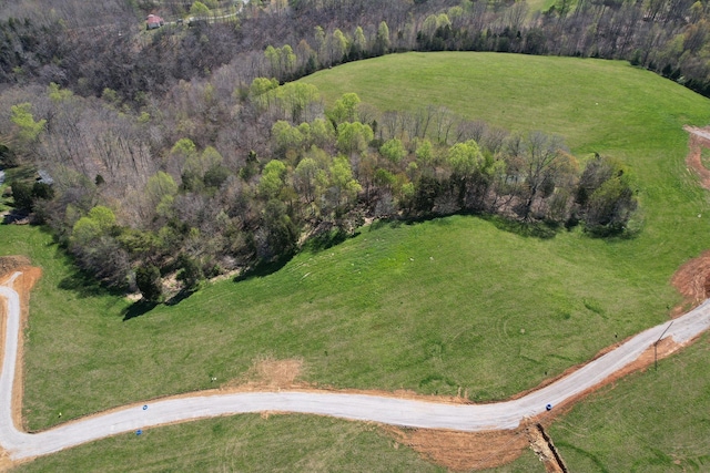 31 Beech Grove Rd, Jabez, KY 42544