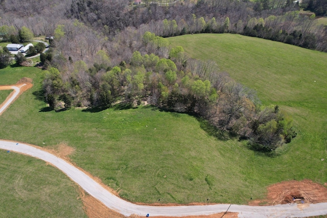 31 Beech Grove Rd, Jabez, KY 42544