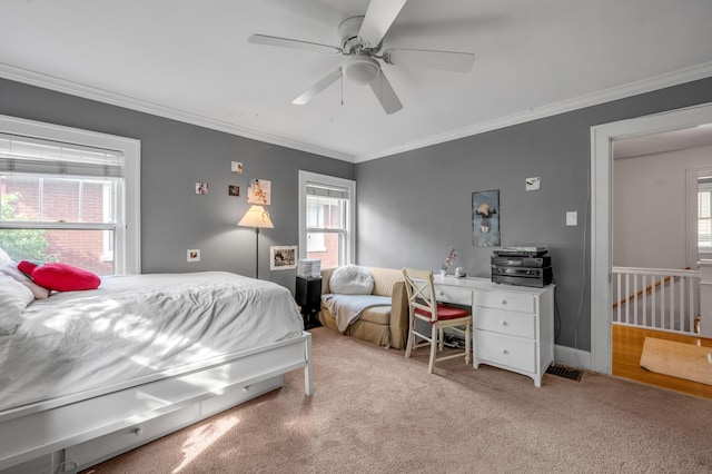 406 Dudley Rd, Lexington, KY 40502 - bedroom with multiple windows, ornamental molding, carpet floors, and a ceiling fan
