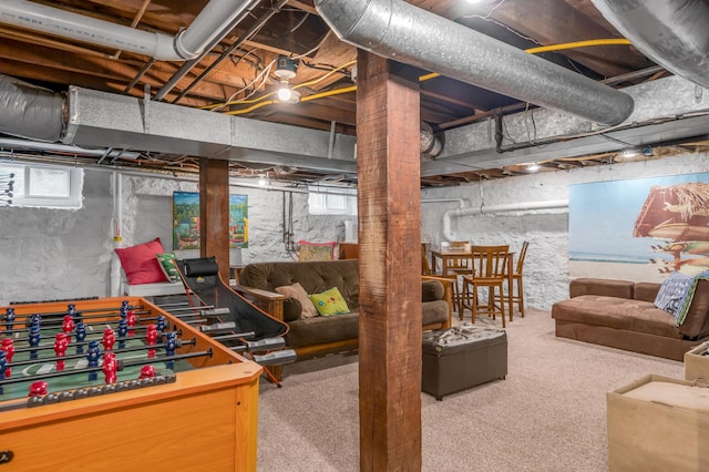 406 Dudley Rd, Lexington, KY 40502 - basement with carpet flooring