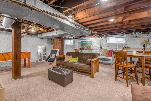 406 Dudley Rd, Lexington, KY 40502 - below grade area with carpet