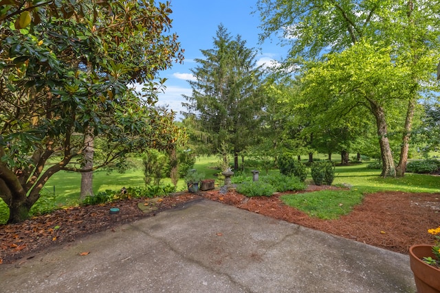 850 Charwood Dr, Lexington, KY 40515 - view of patio