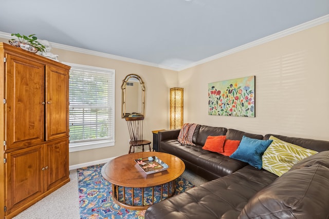 850 Charwood Dr, Lexington, KY 40515 - living area with light colored carpet, crown molding, and baseboards
