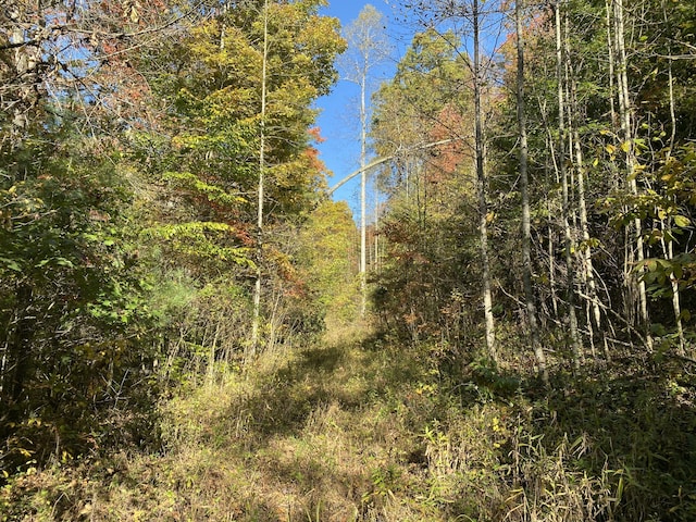 431 Harold Luke Rd, Campton, KY 41301 - view of wooded area