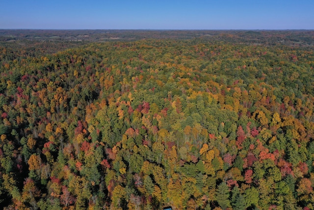 431 Harold Luke Rd, Campton, KY 41301 - aerial view of property and surrounding area featuring a heavily wooded area