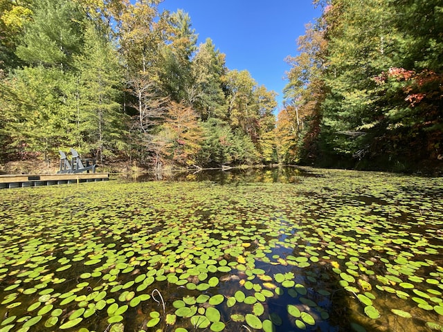 431 Harold Luke Rd, Campton, KY 41301 - view of yard featuring a wooded view and a water view