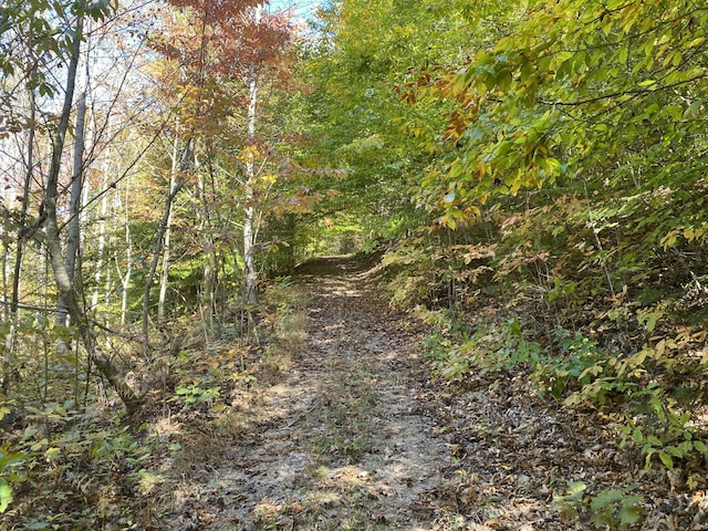 431 Harold Luke Rd, Campton, KY 41301 - view of wooded area