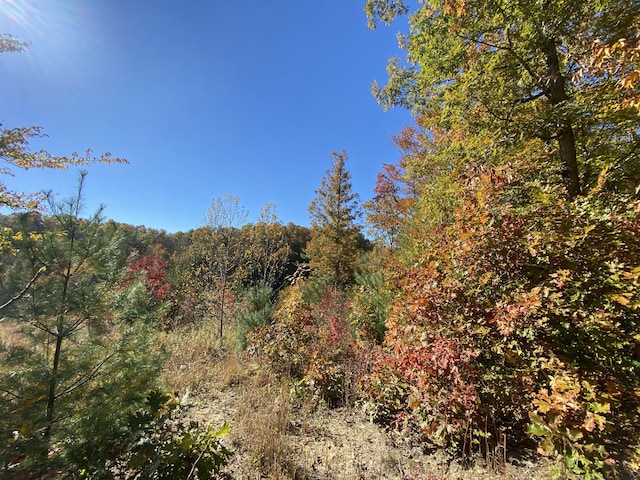 431 Harold Luke Rd, Campton, KY 41301 - view of tree filled area