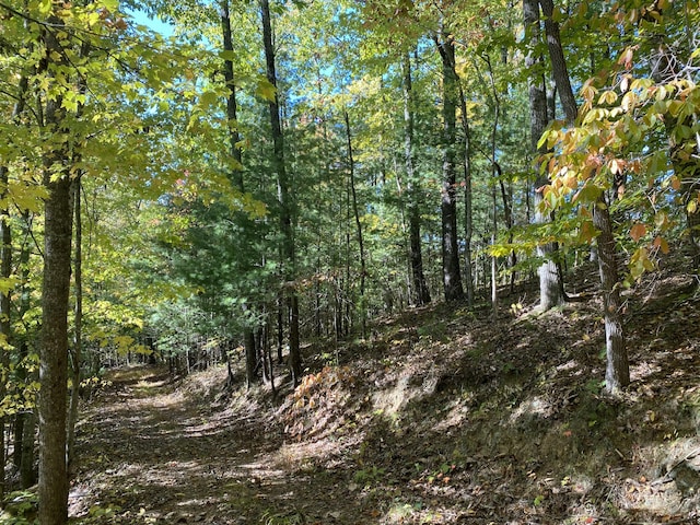 431 Harold Luke Rd, Campton, KY 41301 - view of woods